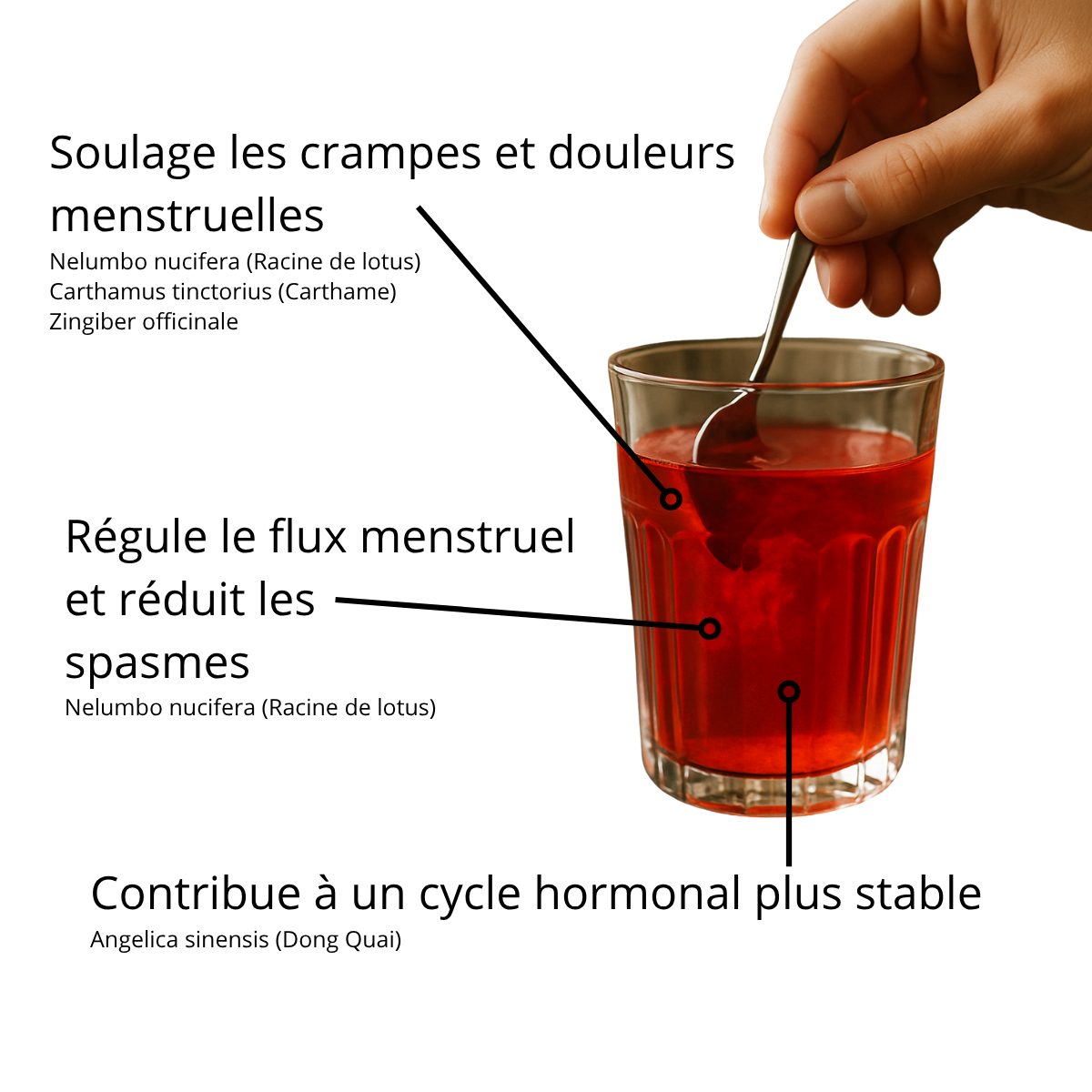 Soulage les douleurs et régule le cycle