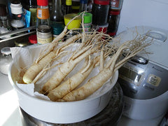 Ginseng