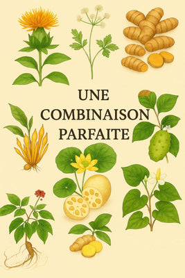 Une Combinaison Parfaite